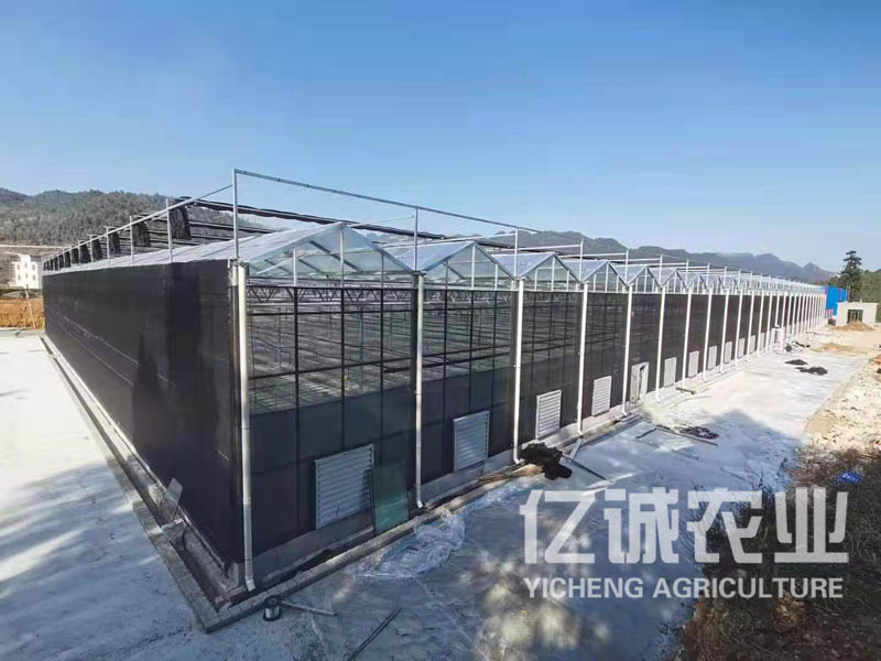 玻璃溫室大棚建造