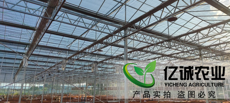 荷蘭溫室大棚承建商